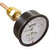 007399f Raypak Temperature Pressure Gauge Kit Psi