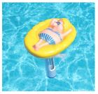 06084 Milliard Pool Thermometer Floating 685984206084