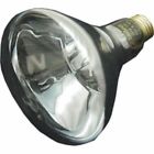 23-4945-86-r Jacuzzi Pool Spa Flood Light Bulb