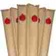 3060tantk 457388464 Robelle Deluxe 16g Tan Complete Winter Water Tube Kit For 30-foot X 6 034261004316