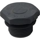 31164908r Jacuzzi Drain Plug 038561318074