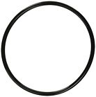 350013 Pentair Lid O-ring Replacement