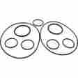 37024 Jandy Zodiac Caretaker Valve O-ring Kit