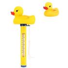 4336512748 Housolution Floating Pool Thermometer Spa Swimming Baby Cartoon 736313084085