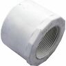 438-291 Lasco Spigot Female Pipe Thread Reducer 637509158200