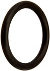 51005000 Pentair Drain Plug Replacement Filter And Valve 0788379693527