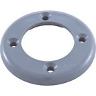 545103 Pentair Wall Fitting Face Plate Vinyl Liner Dark 788379610258