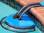 5679797 Swimming Pool Critter Saving Escape Ramp Log Frog 671183787691