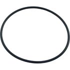 6-412-00 Jandy Zodiac O-ring Chamber