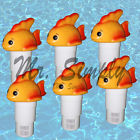 616161802744 6pcs Pool Spa Chemical