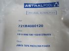 721r4080120 Astral Pool Polyester Strainer