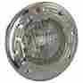77310100 Pentair 100w Spa Light