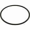 806105129826 Waterway Plastics Trap Lid