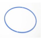 7238152  87508 Swimline Chlorine Feeder Lid Gasket 723815875082