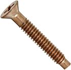 98220200 Pentair New Waterproof Stainless Steel Pilot Screw Replacement Pool Spa