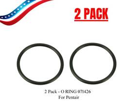 071426 Aftermarket 2 Pack - Clean And Clear Predator Union O-ring For Pentair