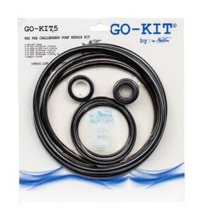 Aladdin 601402123207 Go-kit5 Pac Fab Challenger Pump Repair Go Kit