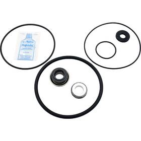 Aladdin 601402123498 Go-kit 43 Ap Maxim/americana Ii/power Glas Pumps