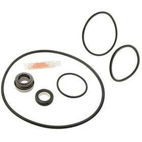 Aladdin 601402151552 Go-kit77 Tune Up Kit For Jandy Jhp And Jhpu Pump