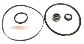 Apc 842524112551 Pump Repair Kit With Gaskets O-rings Seal