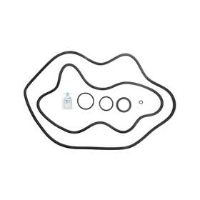Aquatic Pool Company 682470384004 Apc Apck1141 O-ring Ro-kit 362