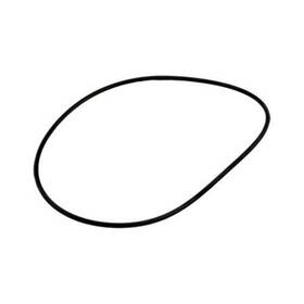 722r1362035 Astral Pool Products Valve Lid O-ring