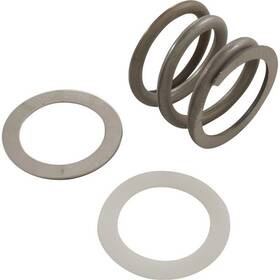 Ast4404120105 Astral Pool Products Spring And Washer Assembly