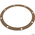 C20-46 Pentair Gasket Adapter Replacementd 788379735227