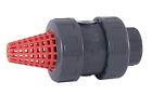 D-63-2 Cepex 2 Foot Valve Or Check New Inch