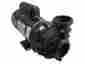 Djayhb-0097 Sta-rite Spa Pump 3.0hp 230v 2 Spd 48fr Great Lakes Coast