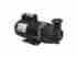 Djayhb-0103 Sta-rite Spa Pump 3.0hp 230v 2 Spd 56 Fra Master Coast Marquis