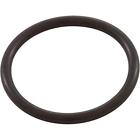 E21 Pentair Wall Fitting Replacement Automatic Pool Cleaner 807318017689