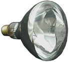 614505 Flood Spa Pentair Light 12v Bulb Pool 300w