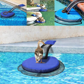 N72q9r5mhyip8 Frog Log Critter Animal Saving Escape Ramp Swimline Swimming Pool Rescue