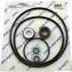 Go-kit14 Gokit14 Aladdin Jacuzzi Magnum Pool Pump O-ring Replacement Kit 601402123368