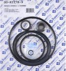 Gokit78 Aladdin Pentair Superflo Pump 601402719240