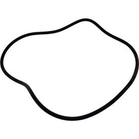 Dex360k Hayward O-ring Starclear/microclear Tank Body O-430 #dex360k