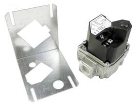 R0493200 Hayward Gas Valve Propane
