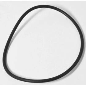 R0558800 Jandy O-ring For Jhp/php Series Pumps Genuine Replacement Part