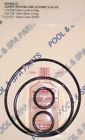 B1043 Jandy Valve -kit72 Kit Neverlube B526 Aladdin