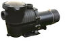 Ne4521 Flowxtreme In Ground Pool Pump Pro Ii Speed Supplies Outdoor