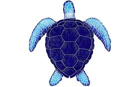Npt 736542475951 15 Inch X 16 Loggerhead Turtle Blue - Tloblum