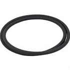 31935-0001-o-419 O-419 Super-pro Pentair-sta-rite Posi Flo 601402263002