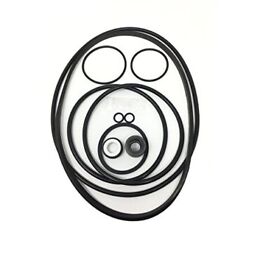 Oring Seal Repair Rebuild Kit For Pentair Challenger High Flow Psi Waterfal