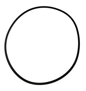 005-302-0100-00 Paramount In-floor Cleaning System Water Valve Base O-ring 005302010000