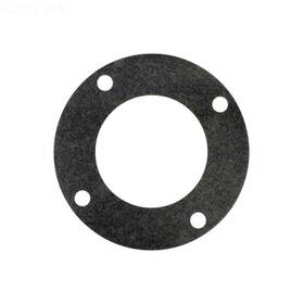 070943 Pentair Gasket Flange
