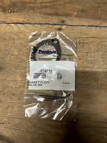 074015 Pentair Gasket Flow Valve