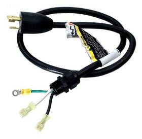 155234 Pentair 3ft Cord With Twist Lock Plug