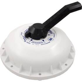 272422 Pentair 2 Inch High Flow Valve Lid Assembly