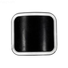 274417z Pentair Waste Seal